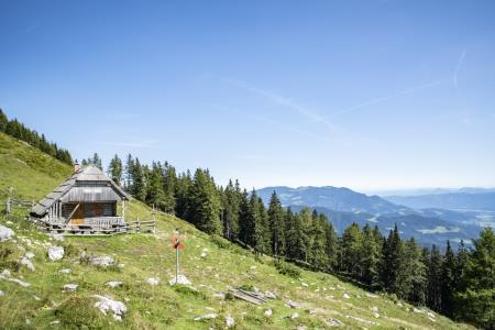 Planina Arta (Foto: MIT, Ivan Majc)
